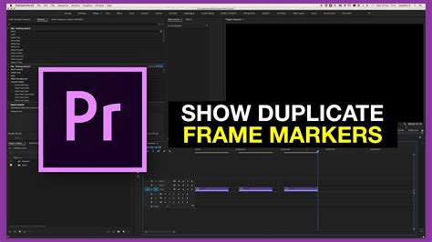 premiere pro show duplicate frames